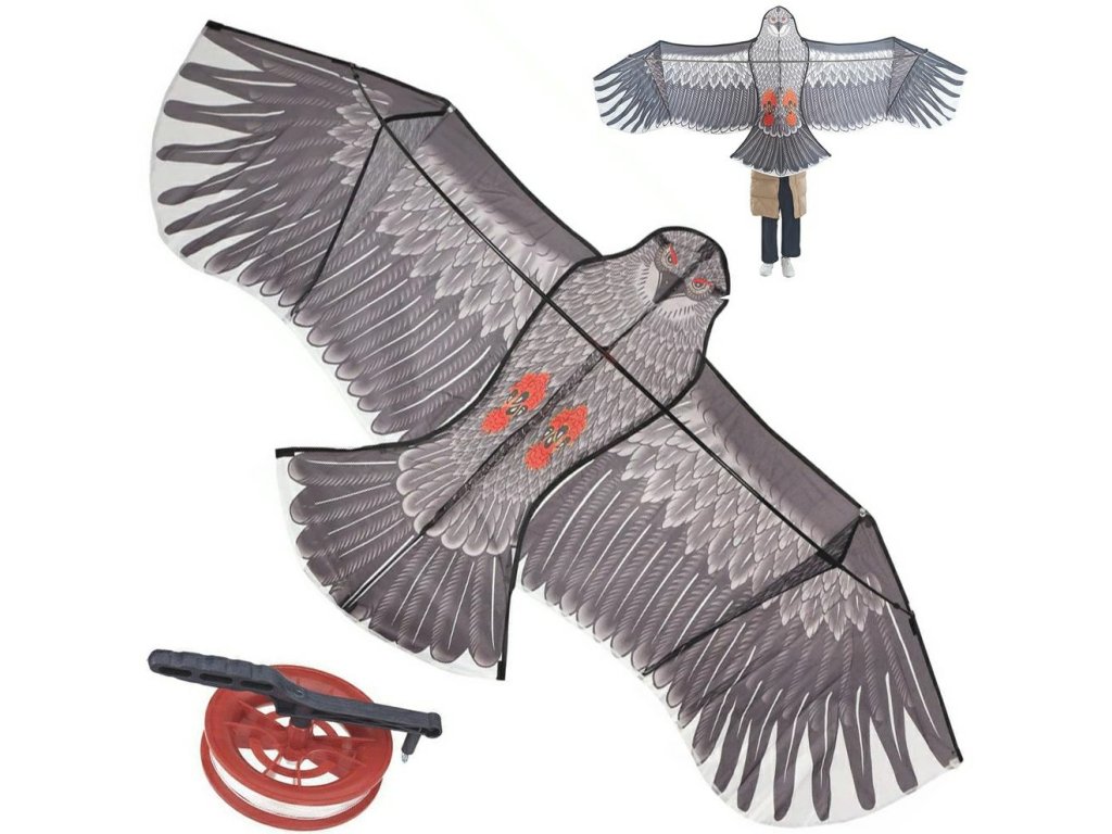 Уникален хвърчило - летящ орел